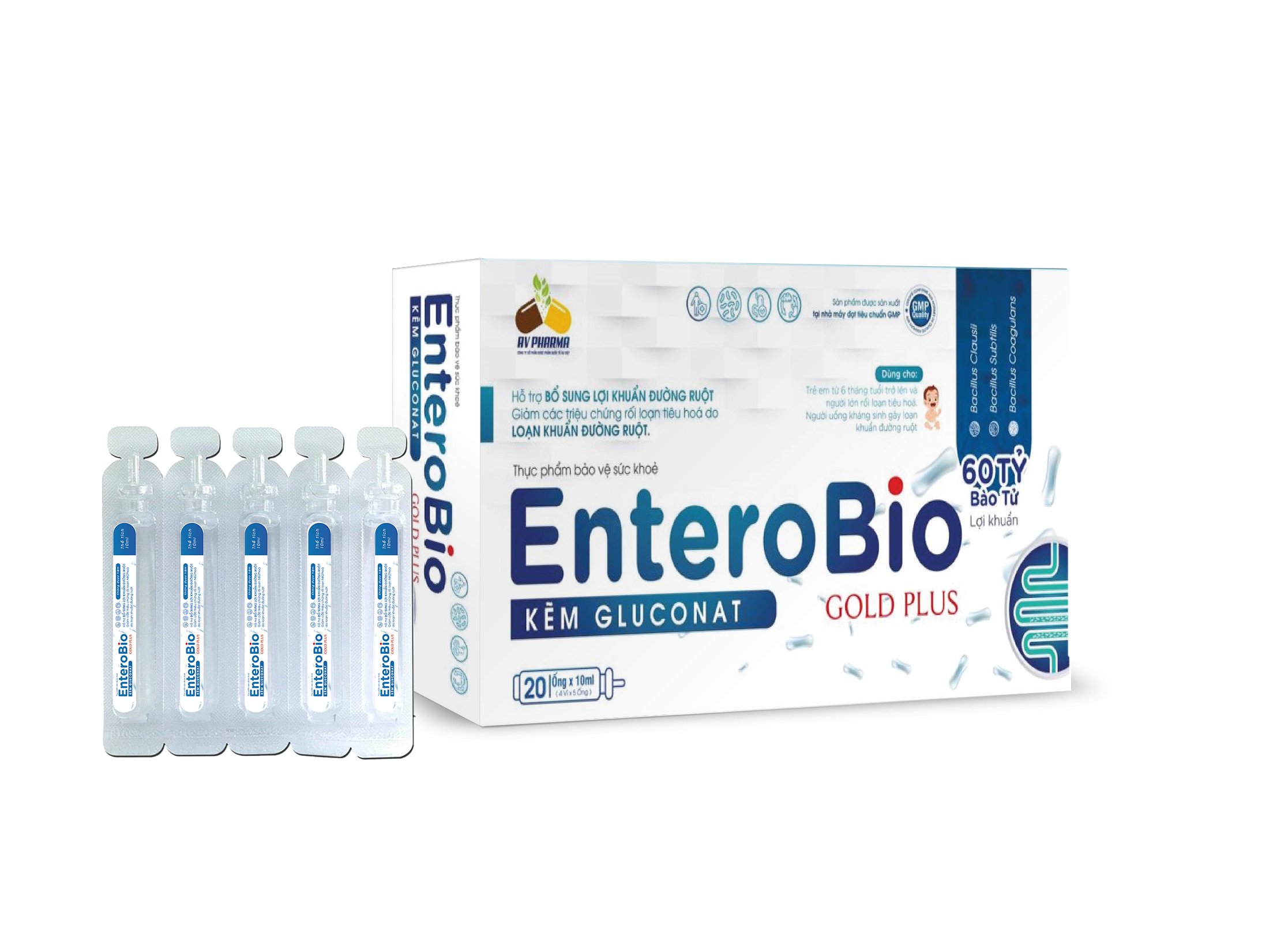 Thực phẩm bảo vệ sức khỏe ENTEROBIO GOLD PLUS